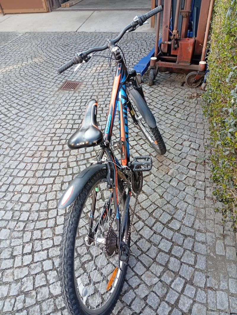 Kolo alpina 