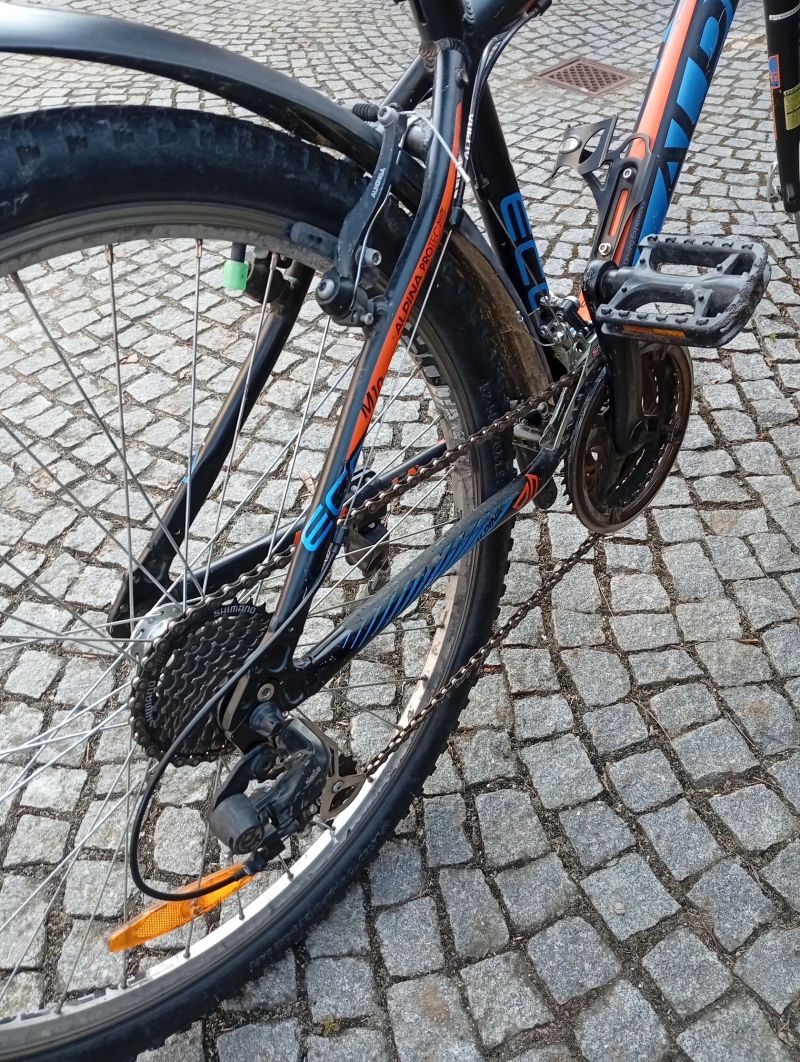 Kolo alpina 