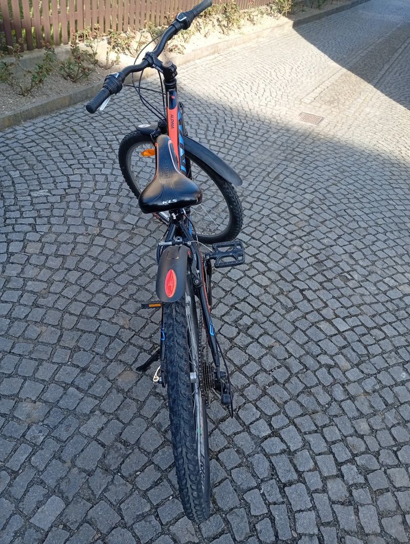 Kolo alpina 