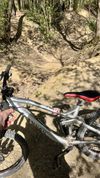 Canyon Spectral AL 8