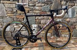 Alan Super Corsa