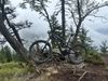 Specialized S-Works