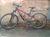 Scott 24