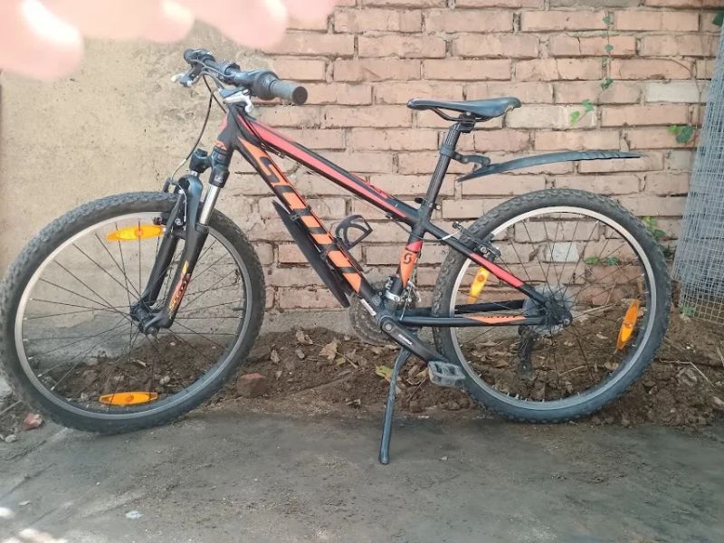 Scott 24