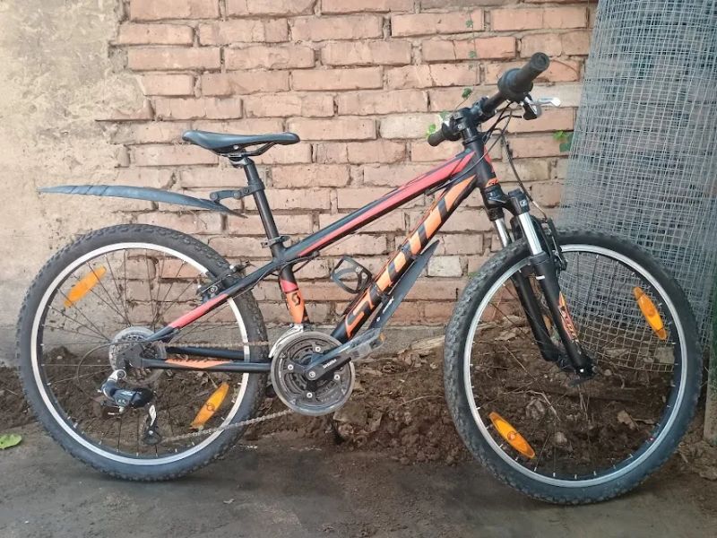 Scott 24