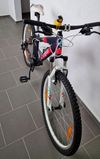 Cygnus Dirt Pro 26"