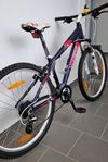 Cygnus Dirt Pro 26"