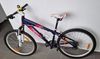 Cygnus Dirt Pro 26"