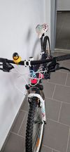 Cygnus Dirt Pro 26"