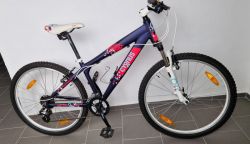 Cygnus Dirt Pro 26"