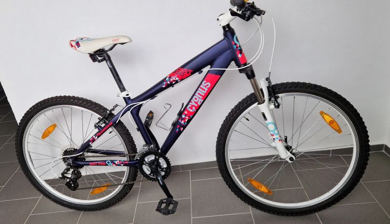 Cygnus Dirt Pro 26"
