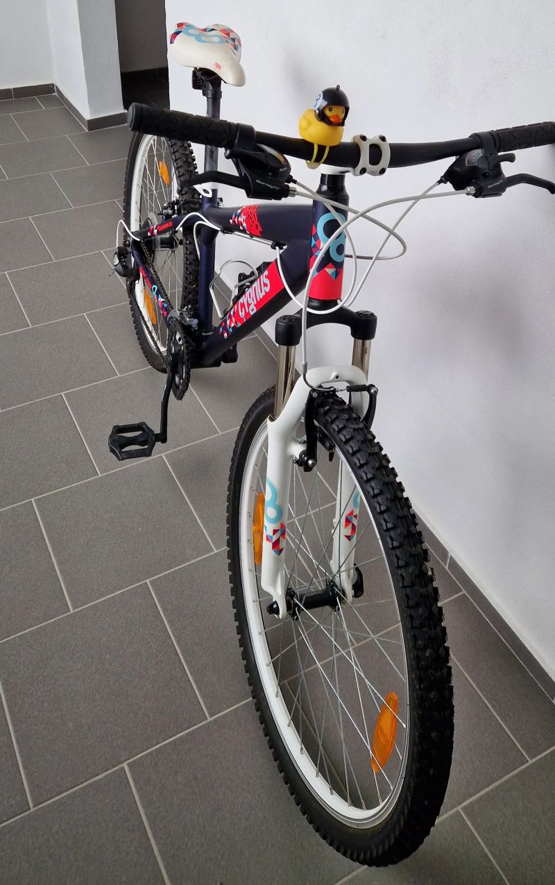 Cygnus Dirt Pro 26"