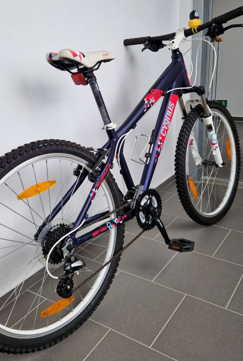 Cygnus Dirt Pro 26"