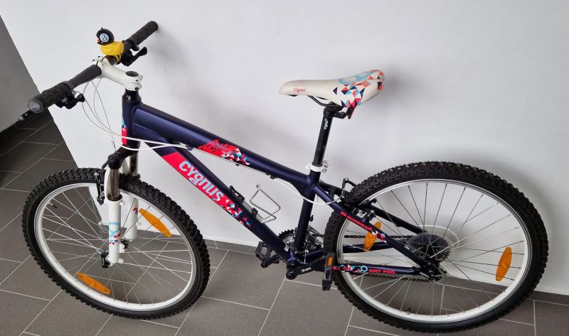 Cygnus Dirt Pro 26"
