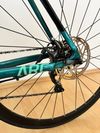 Kellys Arc 50