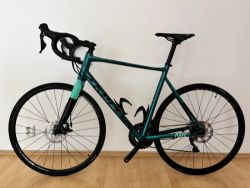Kellys Arc 50