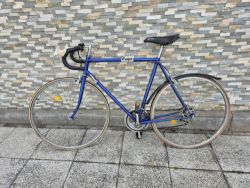 Favorit 1981