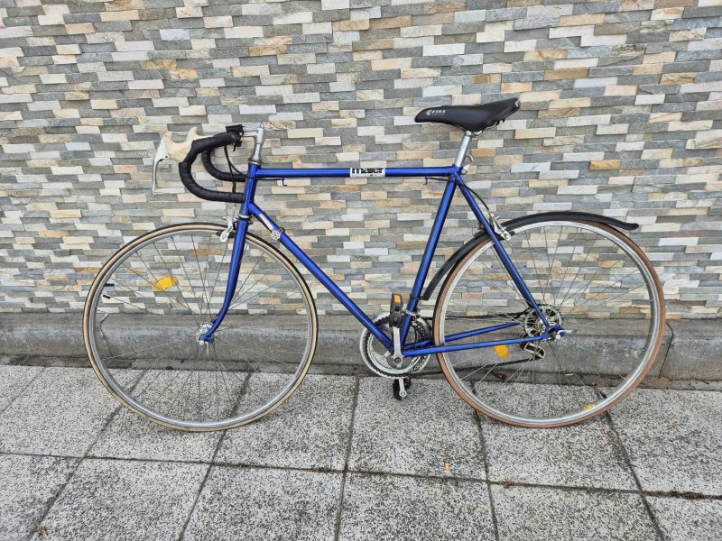 Favorit 1981