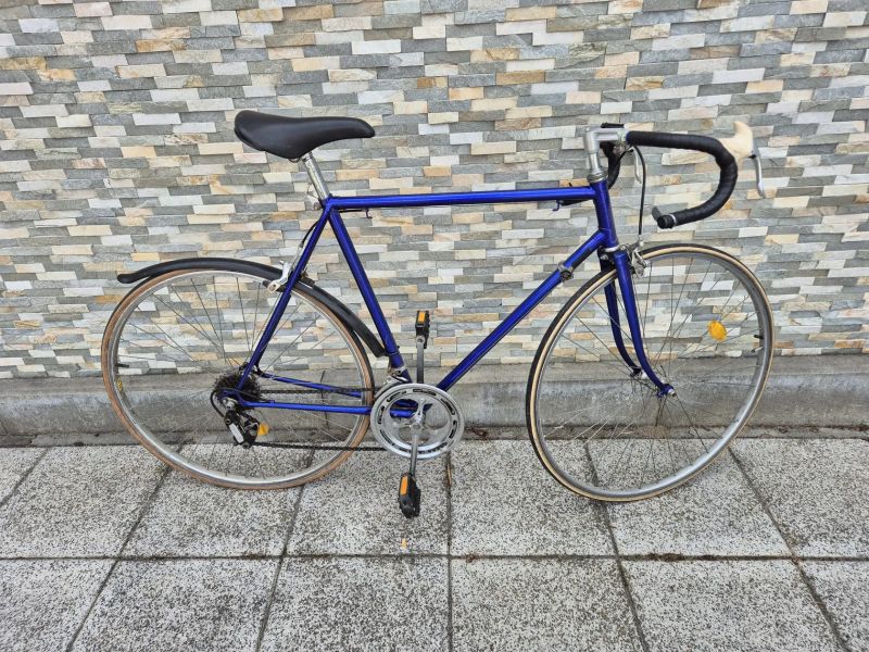 Favorit 1981