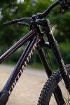 Specialized Demo Race