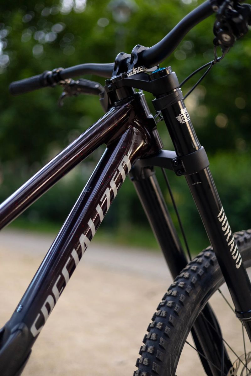Specialized Demo Race