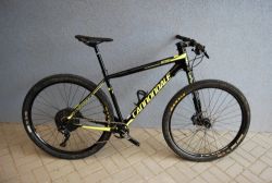 Cannondale F-Si Carbon 29 L