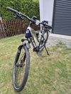 Elektrokolo Crussis OLI Cross lady 8.7-S