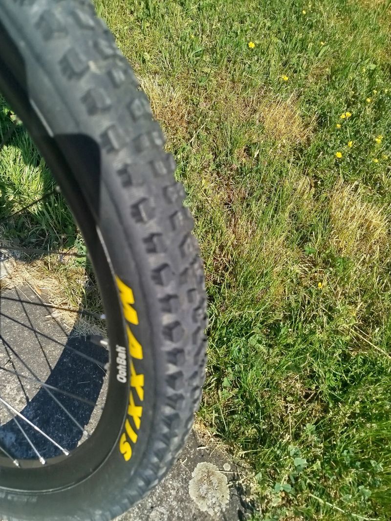 Dartmoor Hornet 27,5 vel.L