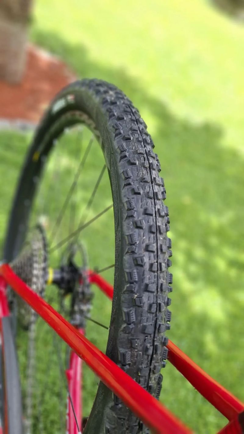Focus Raven 8.8 Carbon XT