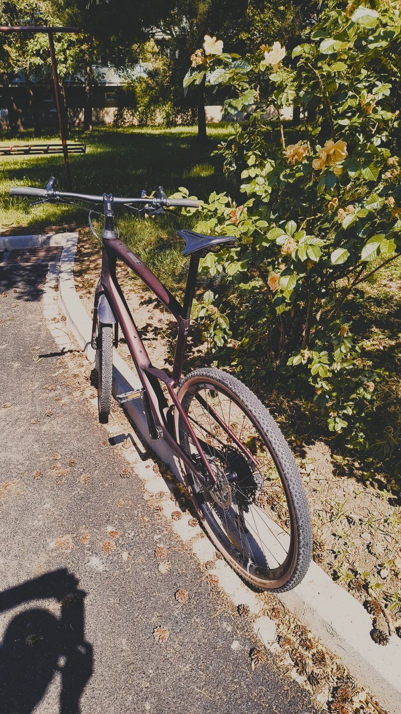 Specialized Sirrus X 5.0
