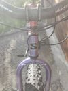 Surly ICE CREAM TRUCK