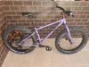 Surly ICE CREAM TRUCK