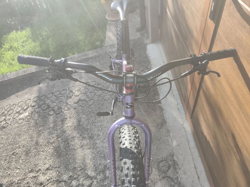 Surly ICE CREAM TRUCK