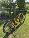 Trek Procaliber 9.6
