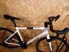 STEVENS Gavere Com FEQ Cool Dove 2026 velikost 56
