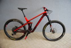 Canyon Strive CF 29 XL