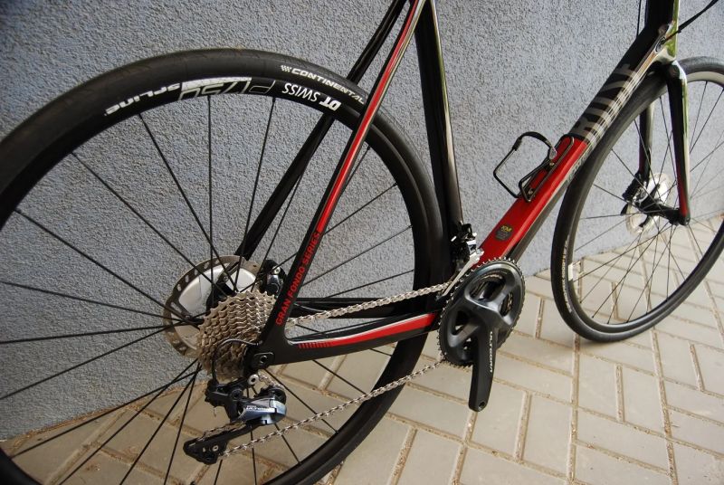 Rose Team GF Disc 61CM