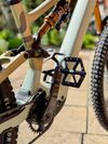 Specialized 2024 Turbo Levo SL 2 Pro Carbon