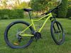 Specialized Jynx