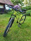 Specialized Jynx