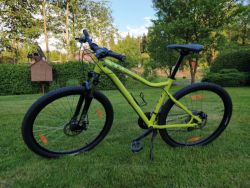 Specialized Jynx