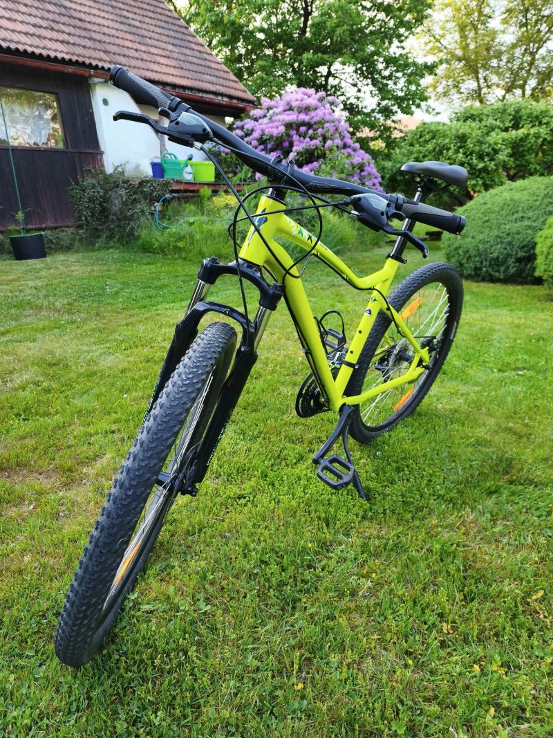 Specialized Jynx