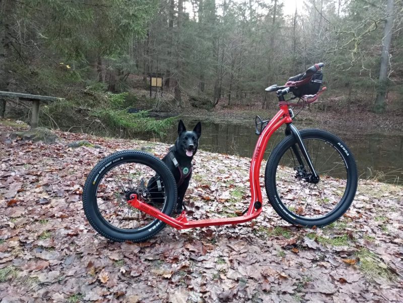 Koloběžka Yedoo Trexx Disc 26/20