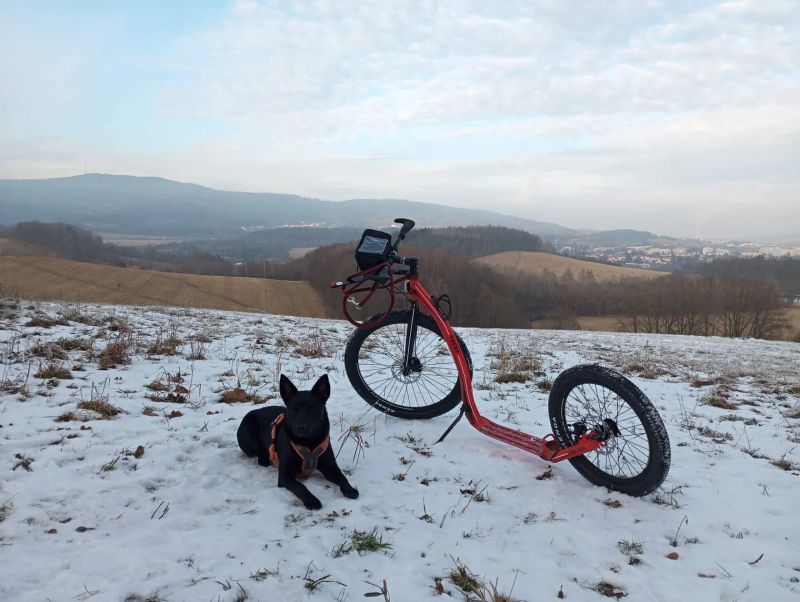 Koloběžka Yedoo Trexx Disc 26/20