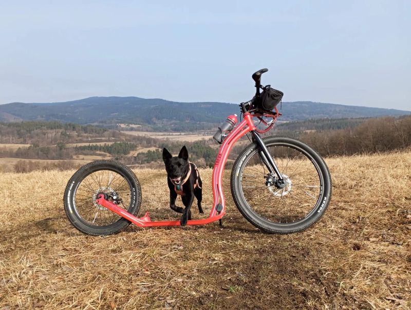Koloběžka Yedoo Trexx Disc 26/20
