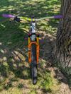 Leader Fox Dragstar