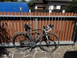 Specialized Tarmac