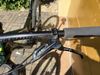 Specialized Camber