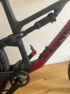  Canyon Neuron CF 8 (2023/2024) – Karbon, Velikost L,