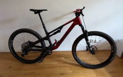  Canyon Neuron CF 8 (2023/2024) – Karbon, Velikost L,